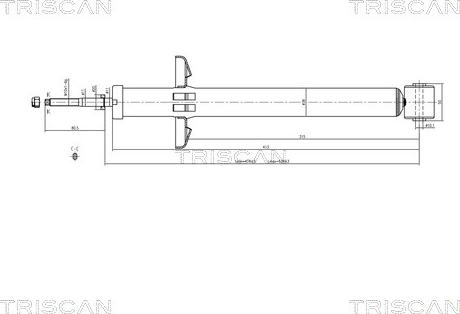 Triscan 8705 29209 - Амортизатор autosila-amz.com