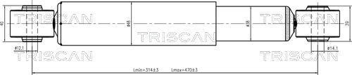 Triscan 8705 29213 - Амортизатор autosila-amz.com