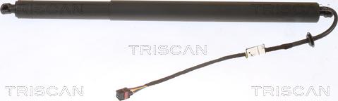 Triscan 8710 43301 - Газовая пружина, упор autosila-amz.com