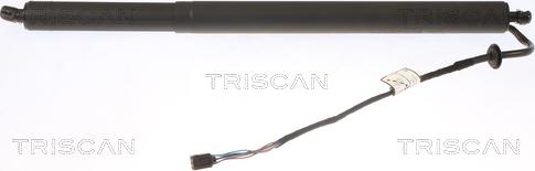 Triscan 8710 43302 - Газовая пружина, упор autosila-amz.com