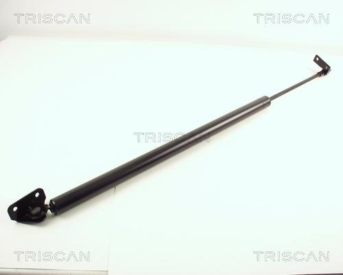 Triscan 8710 43206 - Газовая пружина, упор autosila-amz.com