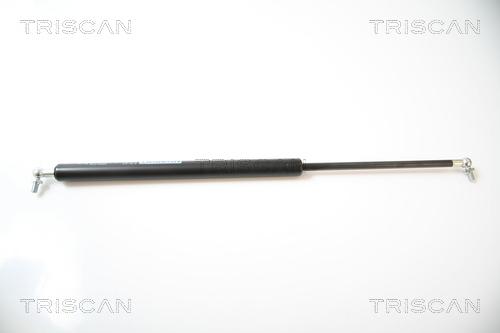 Triscan 8710 43208 - Газовая пружина, упор autosila-amz.com