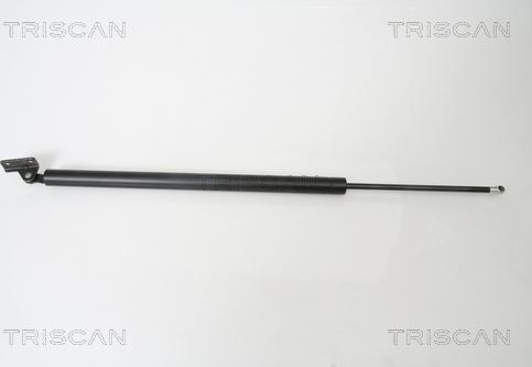 Triscan 8710 43219 - Газовая пружина, упор autosila-amz.com