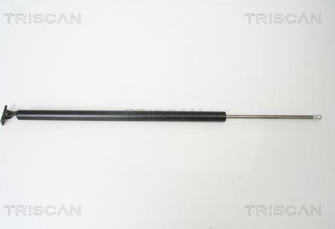 Triscan 8710 43214 - Газовая пружина, упор autosila-amz.com