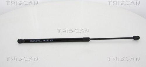 Triscan 8710 43229 - Газовая пружина, упор autosila-amz.com