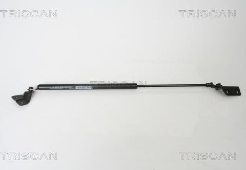 Triscan 8710 69223 - Газовая пружина, упор autosila-amz.com