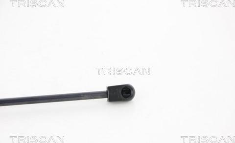 Triscan 8710 67203 - Газовая пружина, упор autosila-amz.com