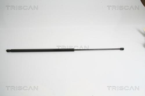 Triscan 8710 15234 - Газовая пружина, упор autosila-amz.com