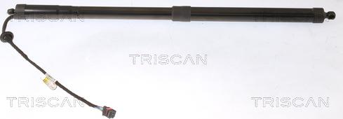 Triscan 8710 16302 - Газовая пружина, упор autosila-amz.com