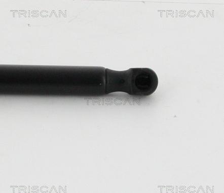 Triscan 8710 16262 - Газовая пружина, упор autosila-amz.com
