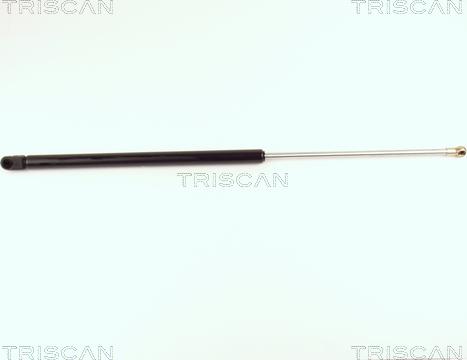 Triscan 8710 16213 - Газовая пружина, упор autosila-amz.com