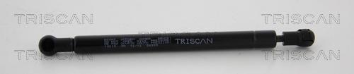 Triscan 8710 10215 - Газовая пружина, упор autosila-amz.com