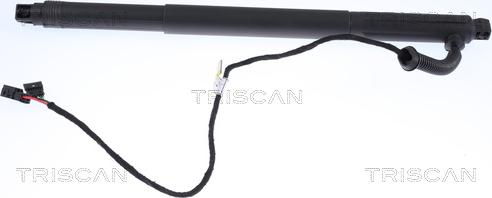 Triscan 8710 11301 - Газовая пружина, крышка багажник autosila-amz.com