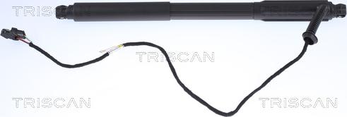 Triscan 8710 11303 - Газовая пружина, упор autosila-amz.com