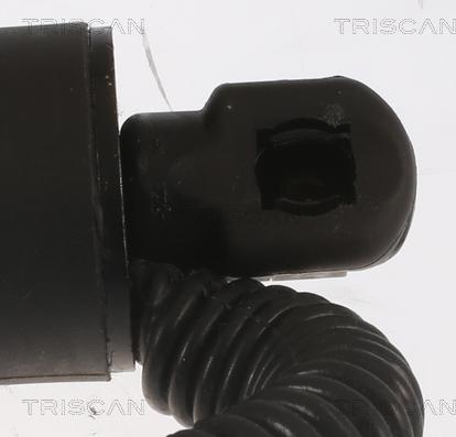 Triscan 8710 11307 - Газовая пружина, крышка багажник autosila-amz.com