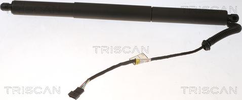 Triscan 8710 11307 - Газовая пружина, упор autosila-amz.com