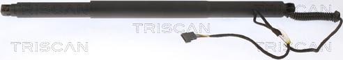 Triscan 8710 11311 - Газовая пружина, упор autosila-amz.com