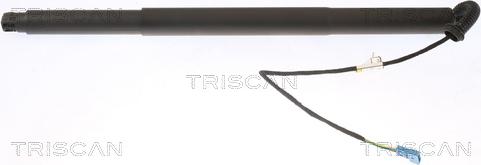 Triscan 8710 11312 - Газовая пружина, упор autosila-amz.com