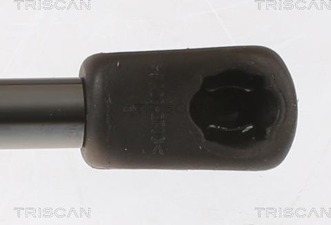 Triscan 8710 18245 - Газовая пружина, упор autosila-amz.com