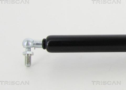 Triscan 8710 13250 - Газовая пружина, упор autosila-amz.com