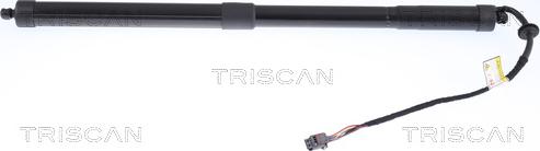 Triscan 8710 17301 - Газовая пружина, упор autosila-amz.com