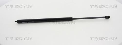 Triscan 8710 80208 - Газовая пружина, упор autosila-amz.com