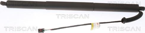 Triscan 8710 29305 - Газовая пружина, упор autosila-amz.com