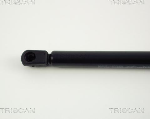 Triscan 8710 24203 - Газовая пружина, упор autosila-amz.com