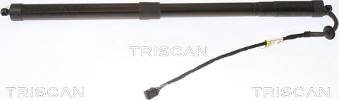 Triscan 8710 20303 - Газовая пружина, упор autosila-amz.com