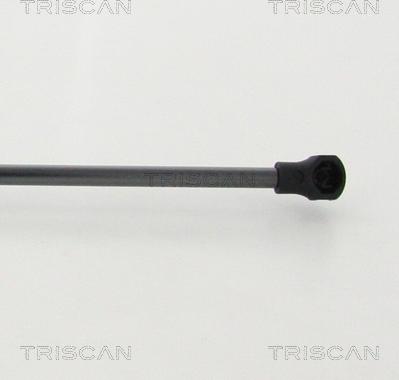 Triscan 8710 28249 - Газовая пружина, упор autosila-amz.com