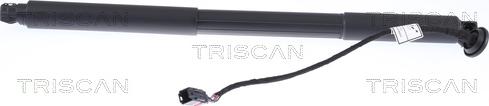 Triscan 8710 27302 - Газовая пружина, упор autosila-amz.com