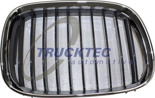 Trucktec Automotive 08.62.250 - Решетка радиатора autosila-amz.com