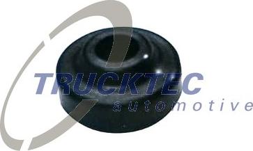 Trucktec Automotive 08.10.038 - Прокладка, болт крышка головки цилиндра autosila-amz.com