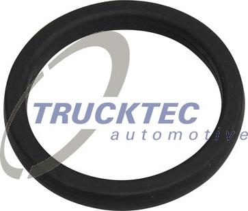 Trucktec Automotive 03.19.210 - Прокладка, водяной насос autosila-amz.com