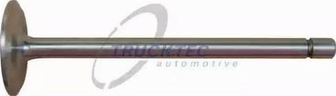 Trucktec Automotive 03.12.002 - Впускной клапан autosila-amz.com