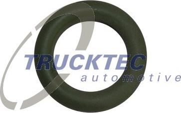 Trucktec Automotive 02.10.006 - Прокладка, указатель уровня масла autosila-amz.com