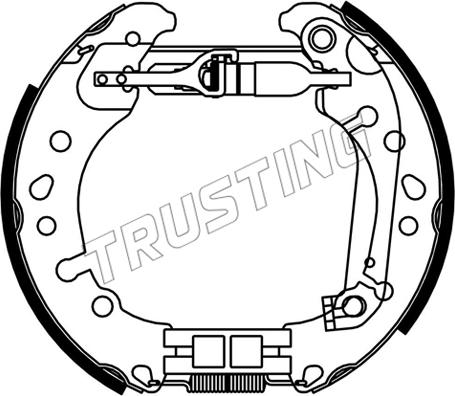 Trusting 653.0 - Комплект тормозных колодок, барабанные autosila-amz.com