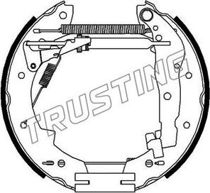 Trusting 6031 - Комплект тормозных колодок, барабанные autosila-amz.com