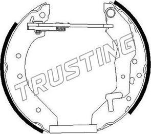 Trusting 6291 - Комплект тормозных колодок, барабанные autosila-amz.com