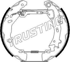 Trusting 6259 - Комплект тормозных колодок, барабанные autosila-amz.com