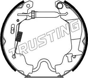 Trusting 6256 - Комплект тормозных колодок, барабанные autosila-amz.com