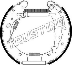 Trusting 6251 - Комплект тормозных колодок, барабанные autosila-amz.com