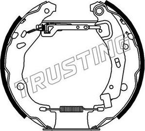 Trusting 6219 - Комплект тормозных колодок, барабанные autosila-amz.com