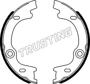 Trusting 049.169 - Комплект тормозов, ручник, парковка autosila-amz.com