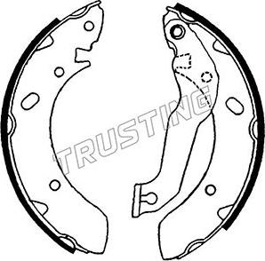 Trusting 046.201 - Комплект тормозных колодок, барабанные autosila-amz.com