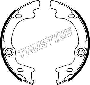 Trusting 046.221 - Комплект тормозов, ручник, парковка autosila-amz.com