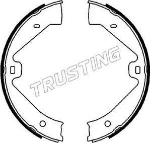 Trusting 124.289 - Комплект тормозов, ручник, парковка autosila-amz.com