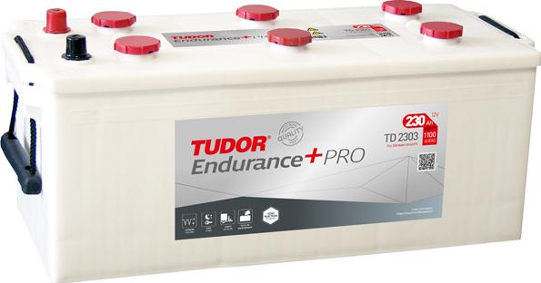 Tudor TD2303 - Стартерная аккумуляторная батарея, АКБ autosila-amz.com