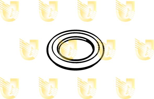 Unigom 162060 - Уплотнительное кольцо, резьбовая пробка маслосливного отверстия autosila-amz.com