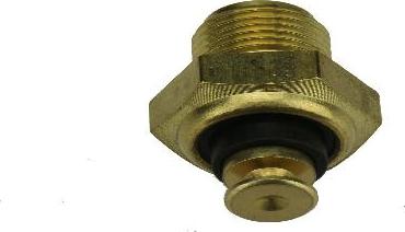 ÜRO Parts 049919501 - Датчик, температура охлаждающей жидкости autosila-amz.com